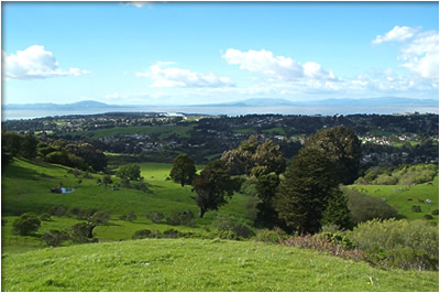 Click to see CRP from San Pablo Ridge