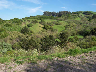 Click to see Clark Creek Riparian zone
