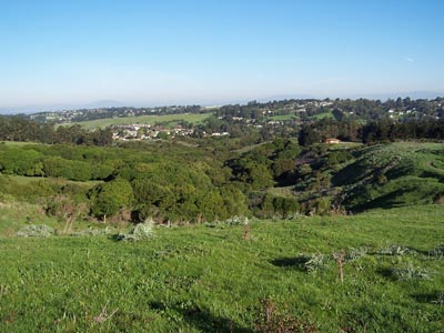 Click to see ForestGreen-WalfdorfSchL